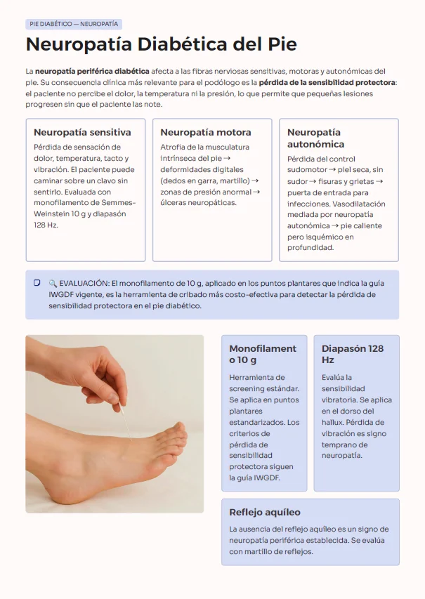 Página de la guía: neuropatía diabética del pie, con tipos de neuropatía y pruebas de cribado